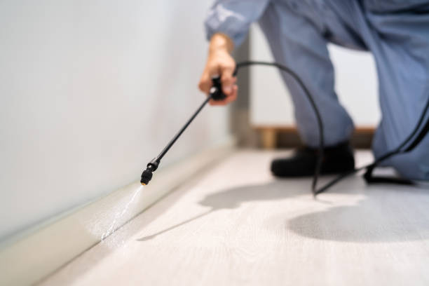 Licensed Pest Control service in Woodburn, VA - Show Me Pest Control