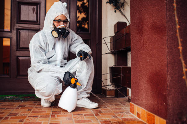 Reliable Ant Control contractor in Woodburn, VA by Show Me Pest Control
